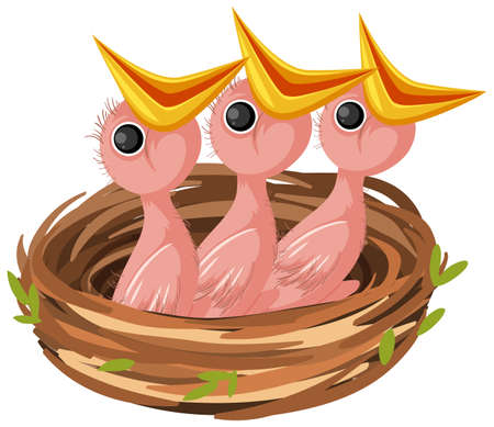 Hungry chicks cartoon character illustrationのイラスト素材