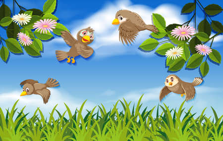 Flying birds in the nature illustrationのイラスト素材