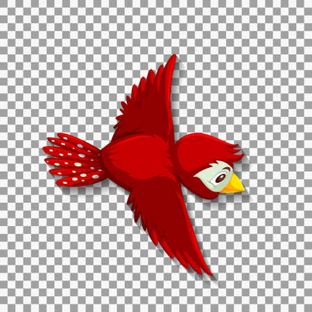 Cute red bird cartoon character illustrationのイラスト素材