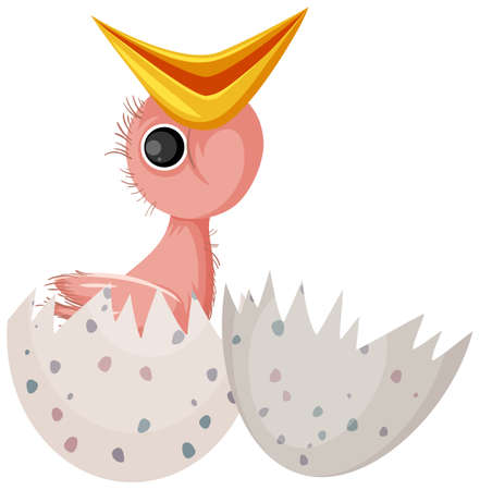 Chick hatching egg isolated illustrationのイラスト素材