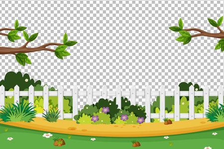 Blank nature graden scene on transparent background illustrationのイラスト素材