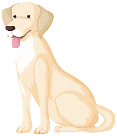 White labrador retriever in sitting pose isolated on white background illustrationのイラスト素材