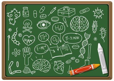 Hand drawn medical science element on chalkboard illustrationのイラスト素材