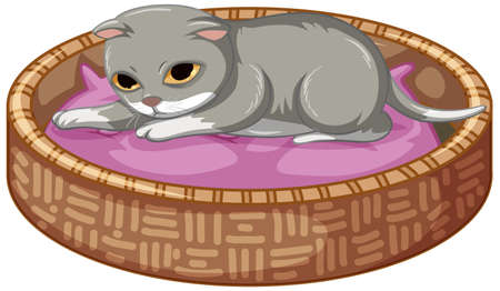 Grey kitten laying on his bed on white background illustrationのイラスト素材