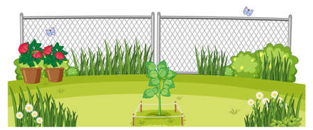 Outdoor plants garden scene illustrationのイラスト素材