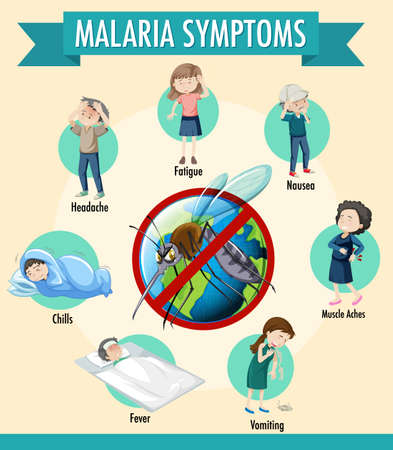 Malaria symptom information infographic illustrationのイラスト素材