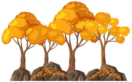 Isolated autumn tree on white background illustrationのイラスト素材