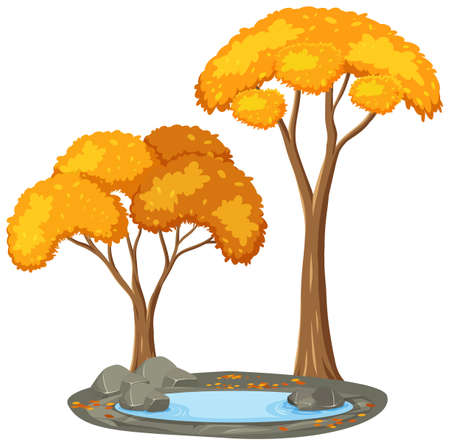 Isolated autumn tree on white background illustrationのイラスト素材