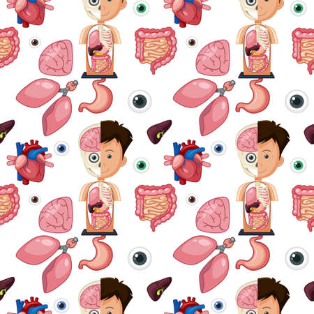 Human body parts anatomy seamless background illustrationのイラスト素材