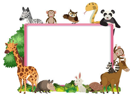 Empty banner with various wild animals illustrationのイラスト素材