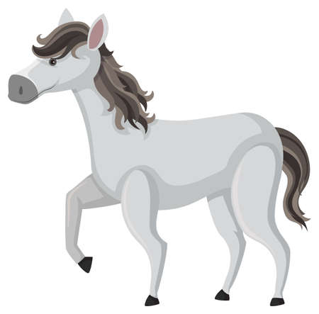 Cute horse on white background illustrationのイラスト素材