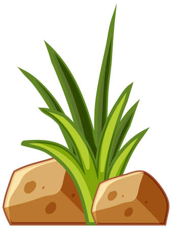 Green grass in cartoon style with stone illustrationのイラスト素材