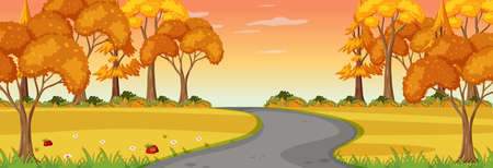 Autumn season with road through the park at sunset time horizontal scene illustrationのイラスト素材