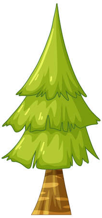 Isolated pine tree on white background illustrationのイラスト素材