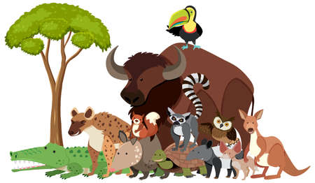 Cartoon wild animals in flat style illustrationのイラスト素材
