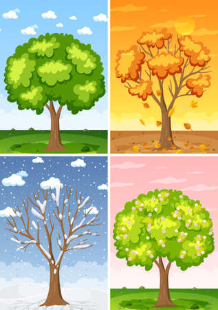 Set of four seasons backgrounds illustrationのイラスト素材