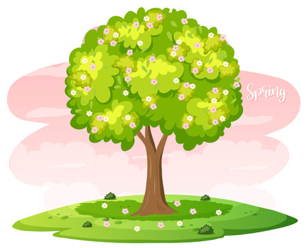 Isolated tree with flowers in spring season  illustrationのイラスト素材