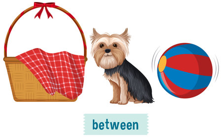 Preposition wordcard with dog and ball illustrationのイラスト素材
