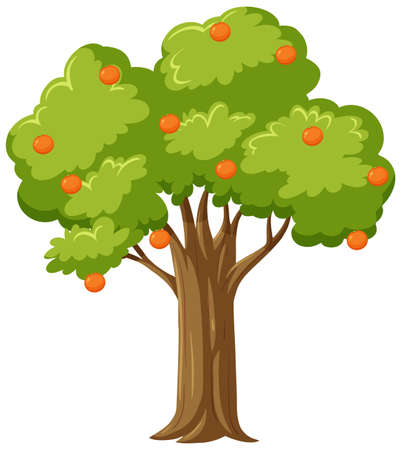 Isolated orange tree in cartoon style illustrationのイラスト素材