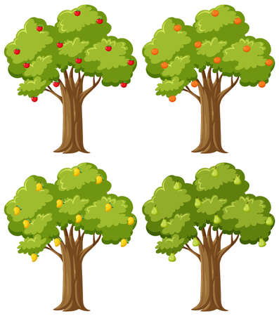 Four fruit trees set illustrationのイラスト素材