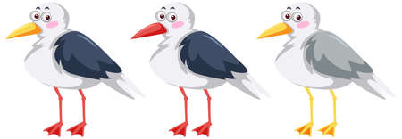 Three seagull birds in cartoon style illustrationのイラスト素材