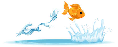A water splash with goldfish on white background illustrationのイラスト素材