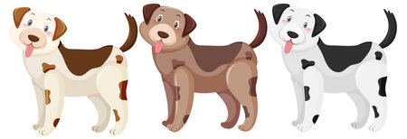 Three dogs with brown and black colored spots marked illustrationのイラスト素材