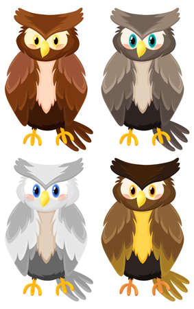 Different owl birds in cartoon style illustrationのイラスト素材