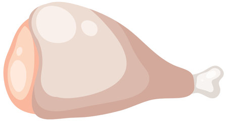 Raw chicken leg vector illustrationのイラスト素材