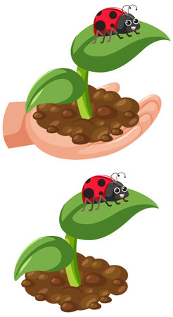 Ladybug on leaf plant on human hand illustrationのイラスト素材