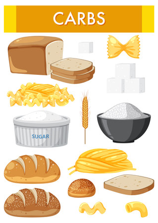 Variety of carbohydrates foods illustrationのイラスト素材