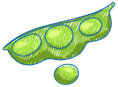 Pea in pencil colour sketch simple style illustrationのイラスト素材