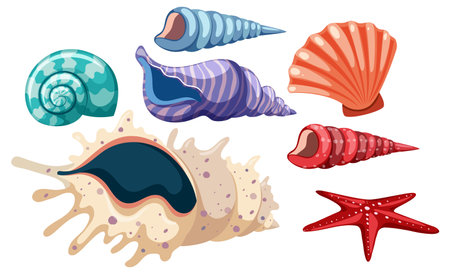 Set of seashell simple cartoon illustrationのイラスト素材