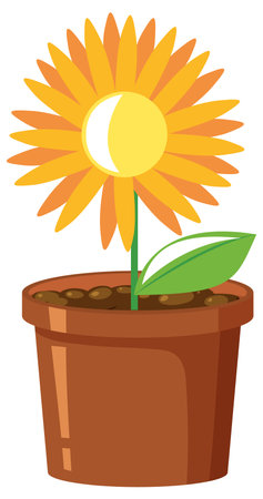 Yellow flower in pot on white background illustrationのイラスト素材
