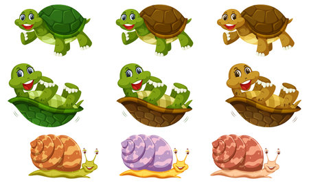 Set of turtle and snail cartoon character illustrationのイラスト素材