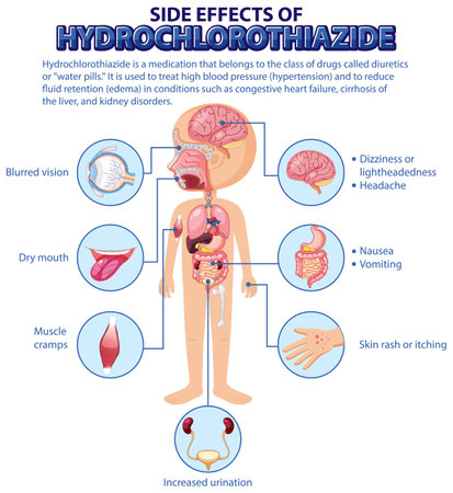 Human anatomy diagram cartoon style of hydrochlorothiazide side effects illustrationのイラスト素材