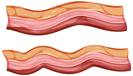 Fresh raw bacon isolated illustrationのイラスト素材