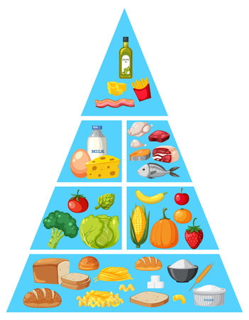 Food nutrition groups pyramid illustrationのイラスト素材