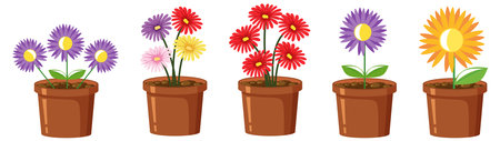 Colorful flower in pot on white background illustrationのイラスト素材