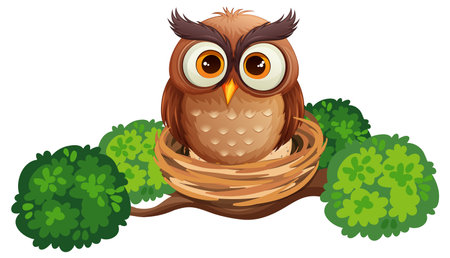 Owl in Nest Cartoon Character illustrationのイラスト素材