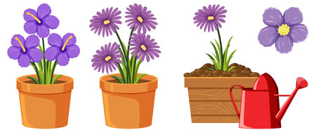 Purple flower in pot on white background illustrationのイラスト素材
