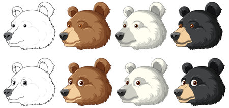 Set of different bear species illustrated in a vector cartoon styleのイラスト素材