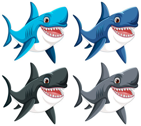 A vector cartoon illustration of a great white shark with big teeth, smiling and swimming isolated on whiteのイラスト素材