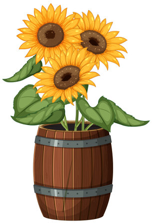 Three vibrant sunflowers arranged in a rustic barrel.のイラスト素材