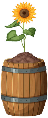 Vector illustration of a sunflower in a barrel.のイラスト素材