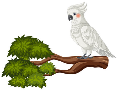 Vector illustration of a white cockatoo on a branch.のイラスト素材