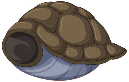 Detailed vector of a turtle shellのイラスト素材