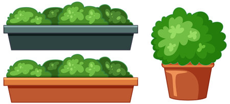 Illustration of potted plants and garden traysのイラスト素材