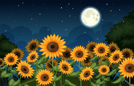 Sunflowers basking in the glow of the moonのイラスト素材