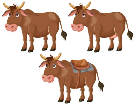 Three cows, one with a saddleのイラスト素材